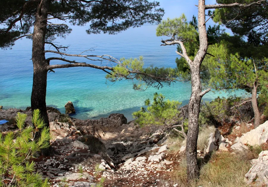 Pourquoi la Bretagne du Sud est-elle une destination incontournable ?