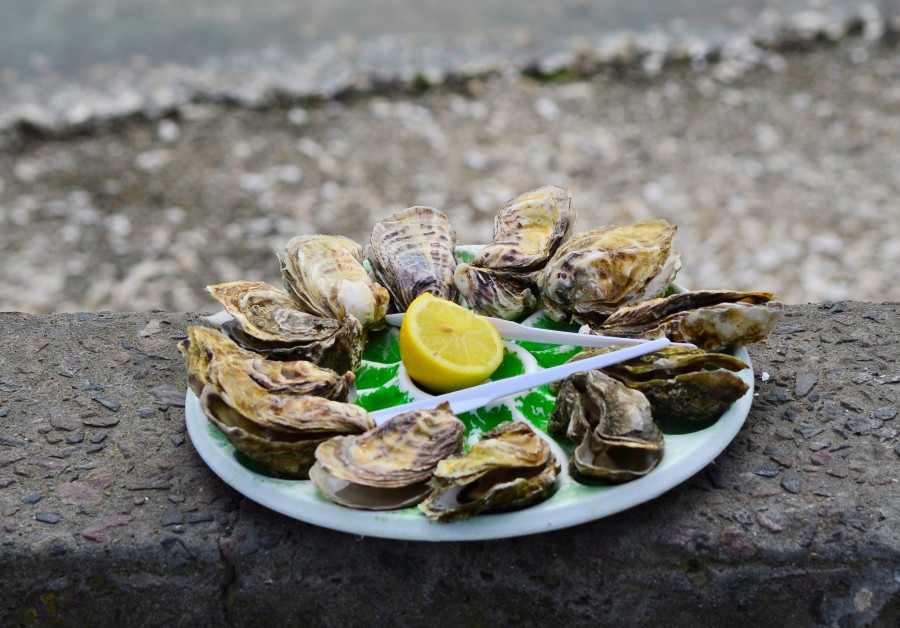 Où découvrir les meilleures huîtres de Bretagne ?