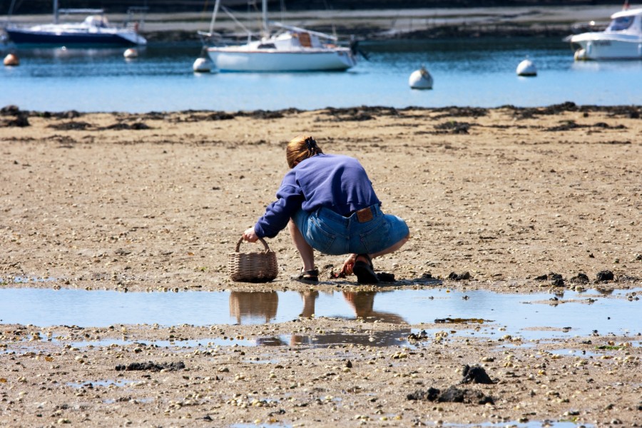 Découvrir la pêche a pied en Bretagne